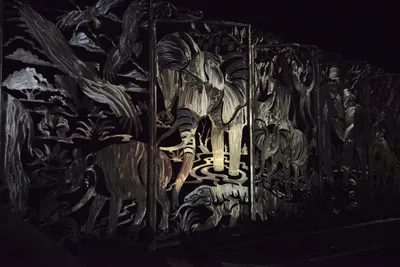 DSC_7102 (Large).JPG